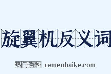 旋翼机反义词是什么意思的图片